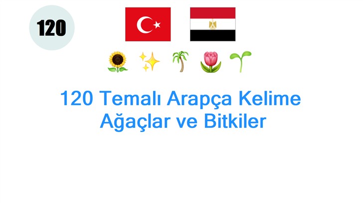 120 Temalı Arapça Kelime: Ağaçlar ve Bitkiler